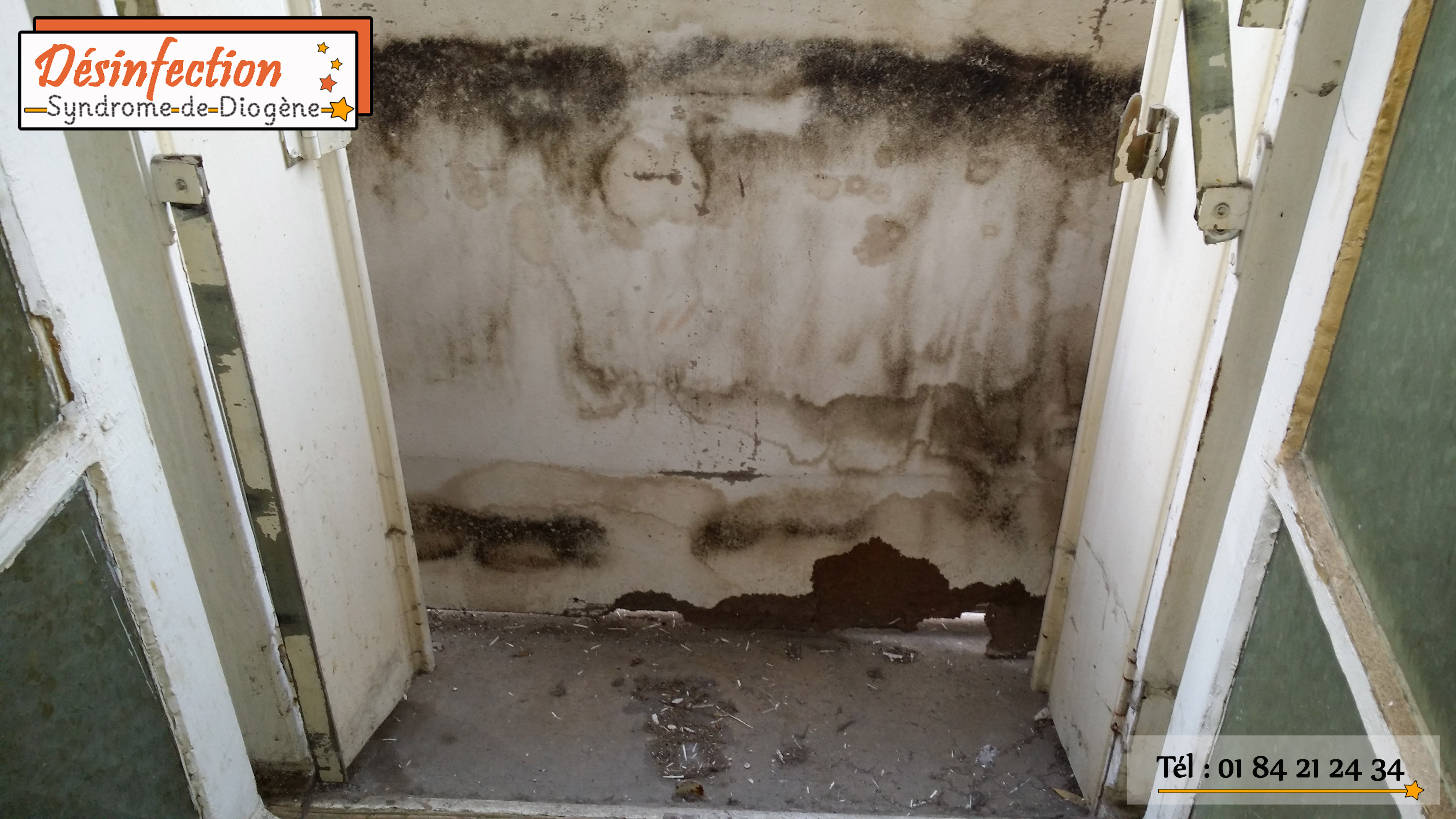 renovation appartement insalubre